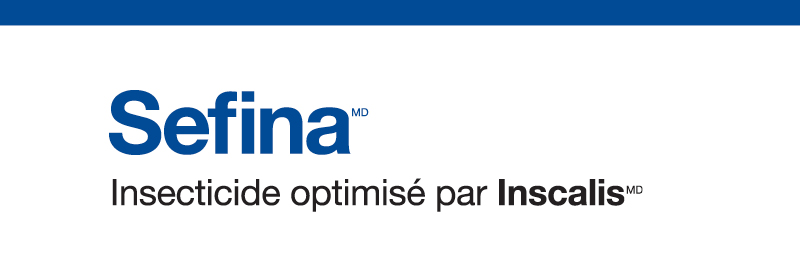 Sefina logo