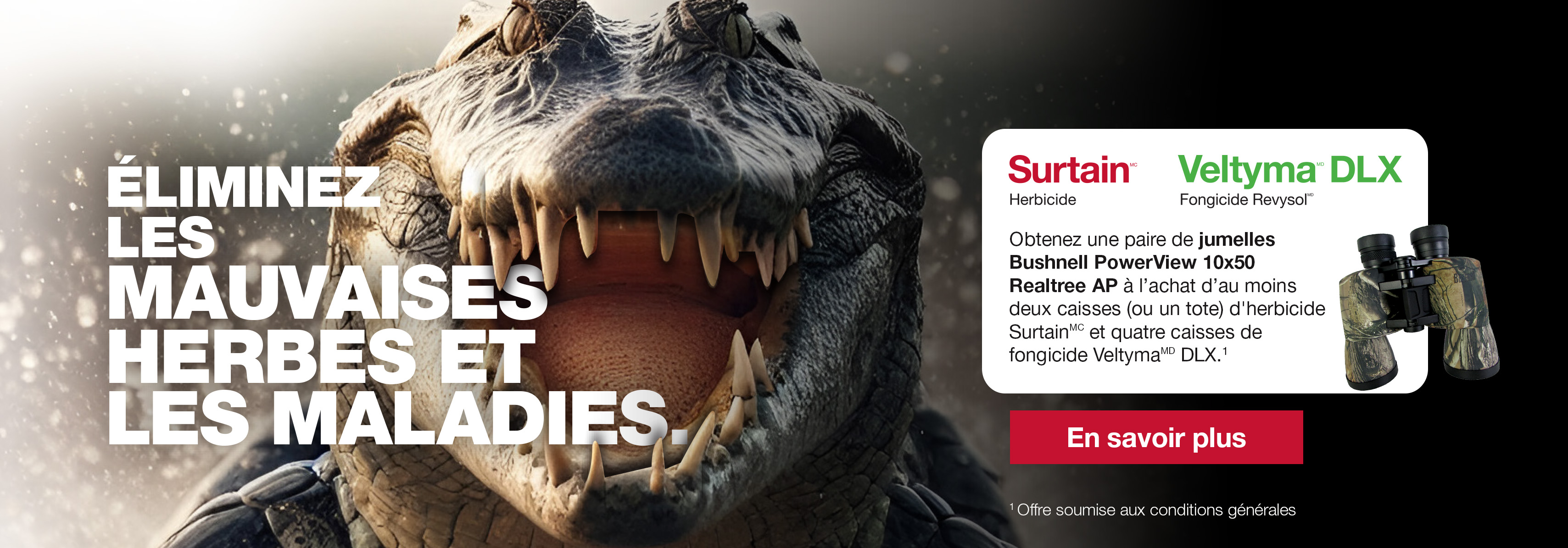 Gros plan d’un alligator avec des jumelles et les logos des produits Surtain™ et Veltyma® DLX