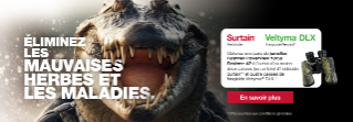 Gros plan d’un alligator avec des jumelles et les logos des produits Surtain™ et Veltyma® DLX