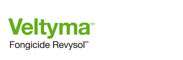 Veltyma logo
