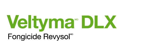 Veltyma DLX logo