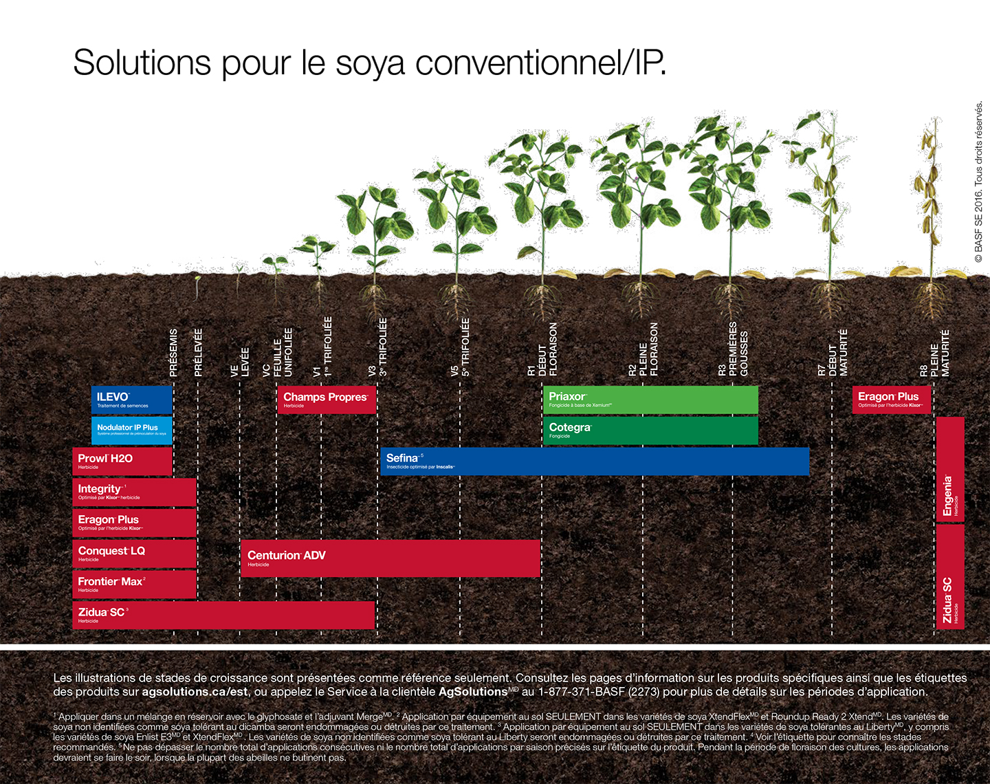 Graphique de mise en scène des cultures conventionnelles/IP de soja,Graphique de mise en scène des cultures conventionnelles/IP de soja