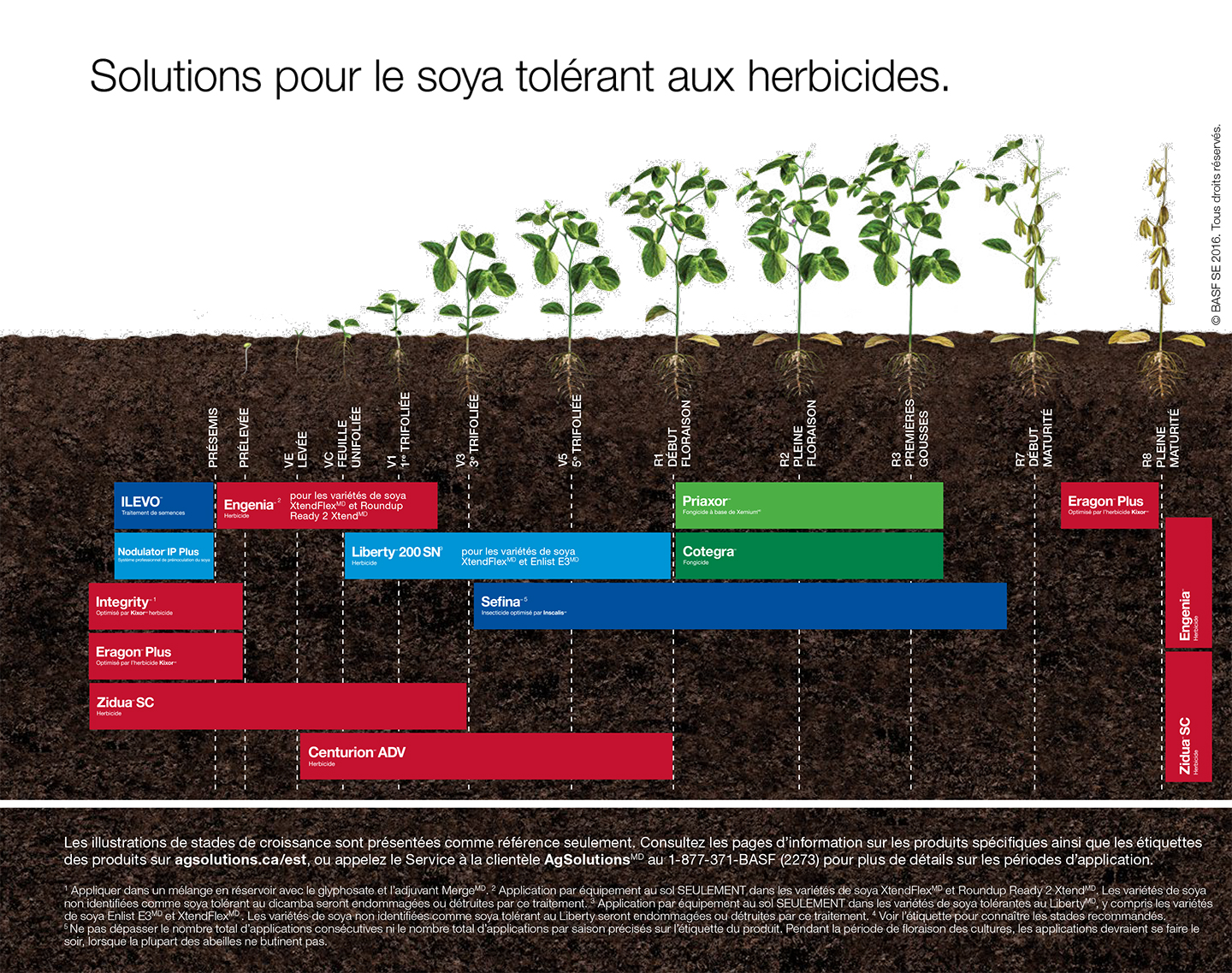 tableau de mise en scène du soja tolérant aux herbicides,tableau de mise en scène du soja tolérant aux herbicides
