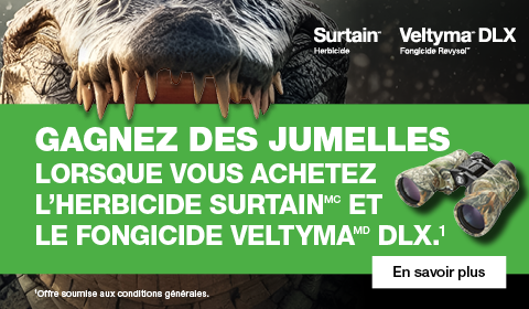 Gros plan d’un alligator avec des jumelles et les logos des produits Surtain™ et Veltyma® DLX