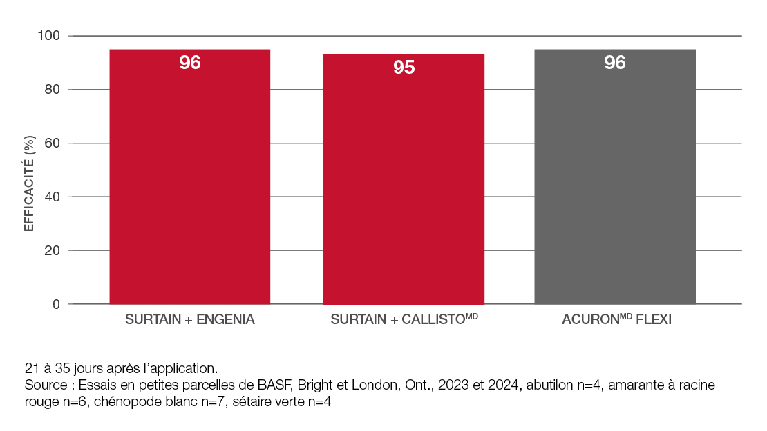 Comparison graph: Surtain + Engenia vs. Surtain + Callisto vs. Acuron Flexi