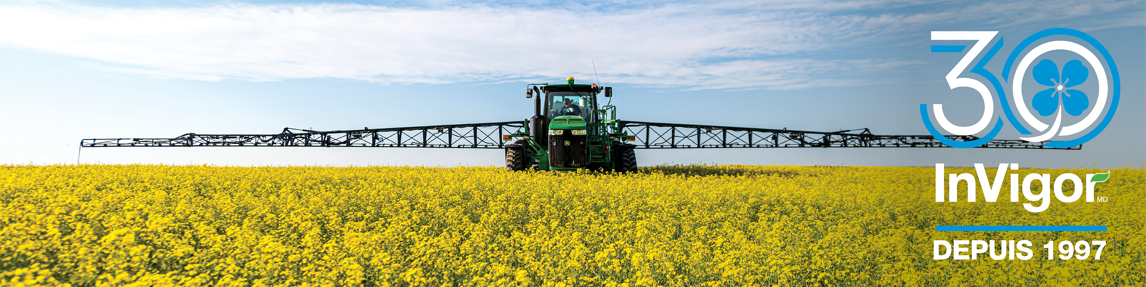 tracteur dans un champ de canola