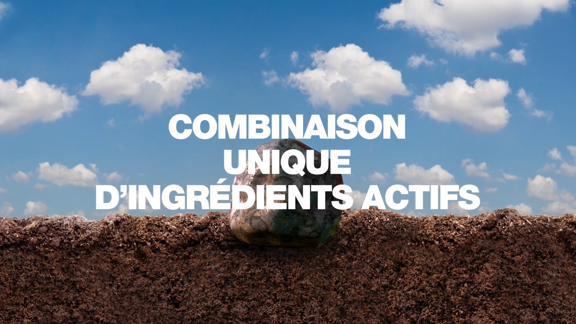 video: Surtain product information