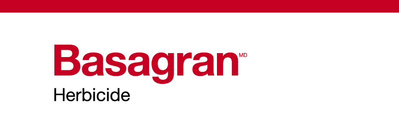Basagran