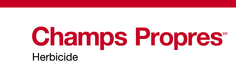 Champs Propres