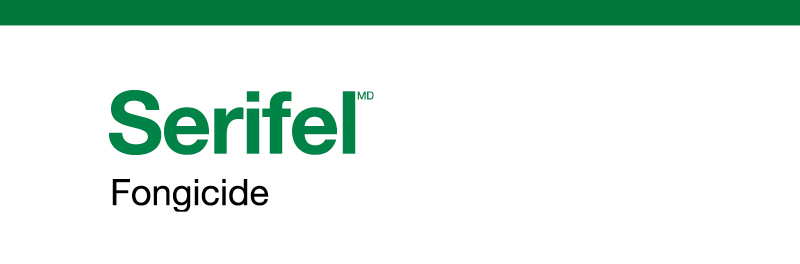 Serifel Logo