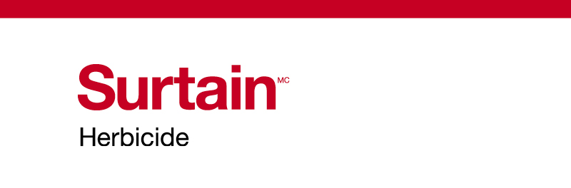 Surtain logo