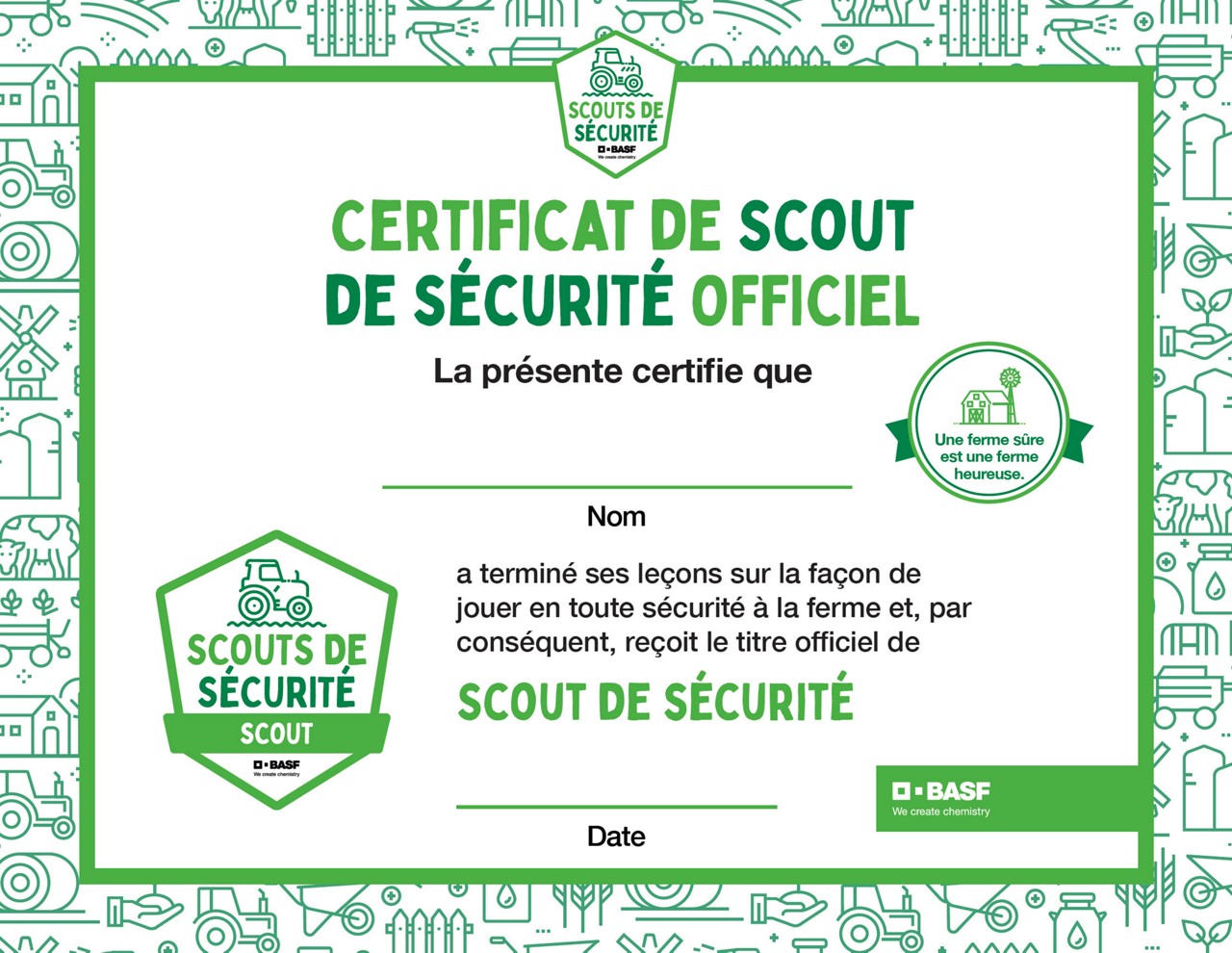 Safety scouts certificate