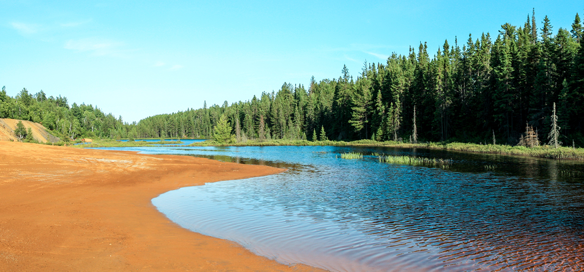 image: aquatic site