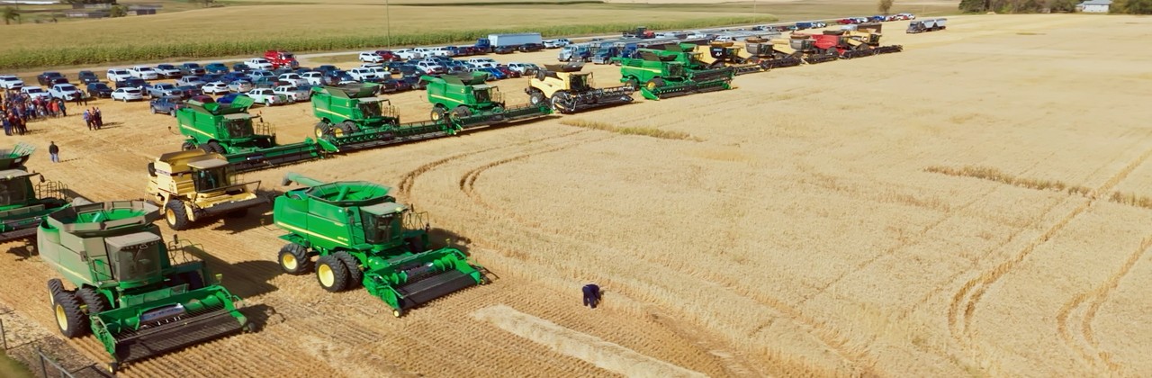 BASF Fields of Purpose wheat field at harvest, neighbours helping the community with harvest.