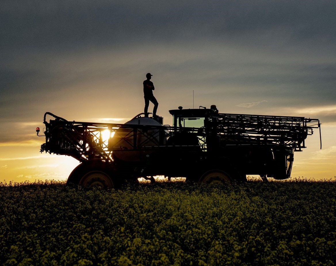 A person standing on a tractor at sunset in a canola field 